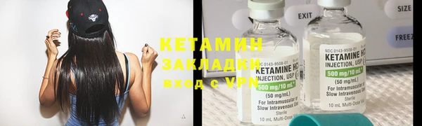 индика Ельня