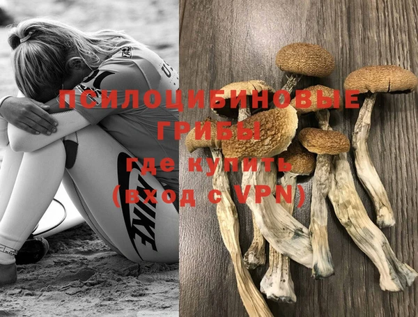 apvp Абаза