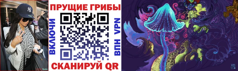 blacksprut tor  Мантурово  Псилоцибиновые грибы мухоморы 